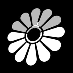 پتروشیمی جم